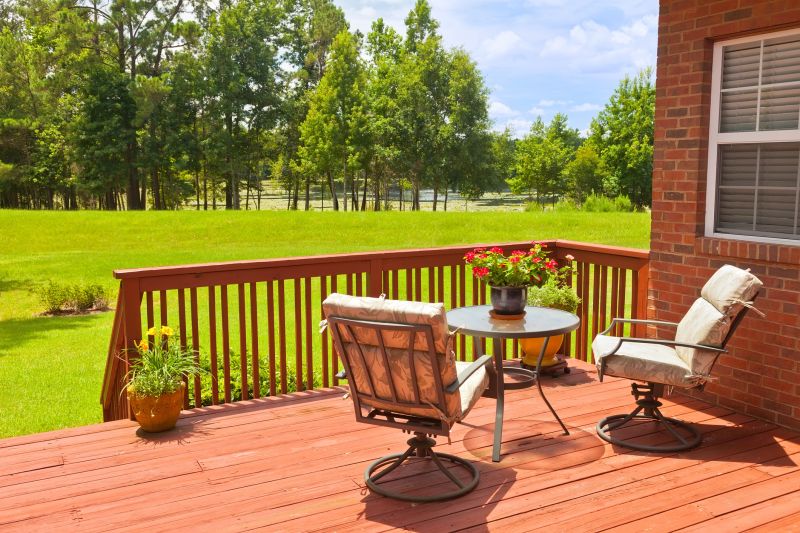 Deck and Fence Painting